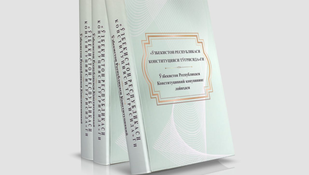 Draft Constitutional Law printed in Braille