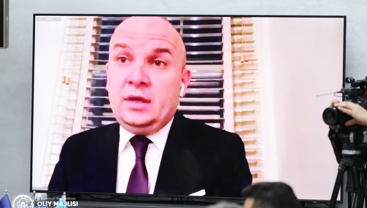 Демократия и права человека как факторы устойчивого развития