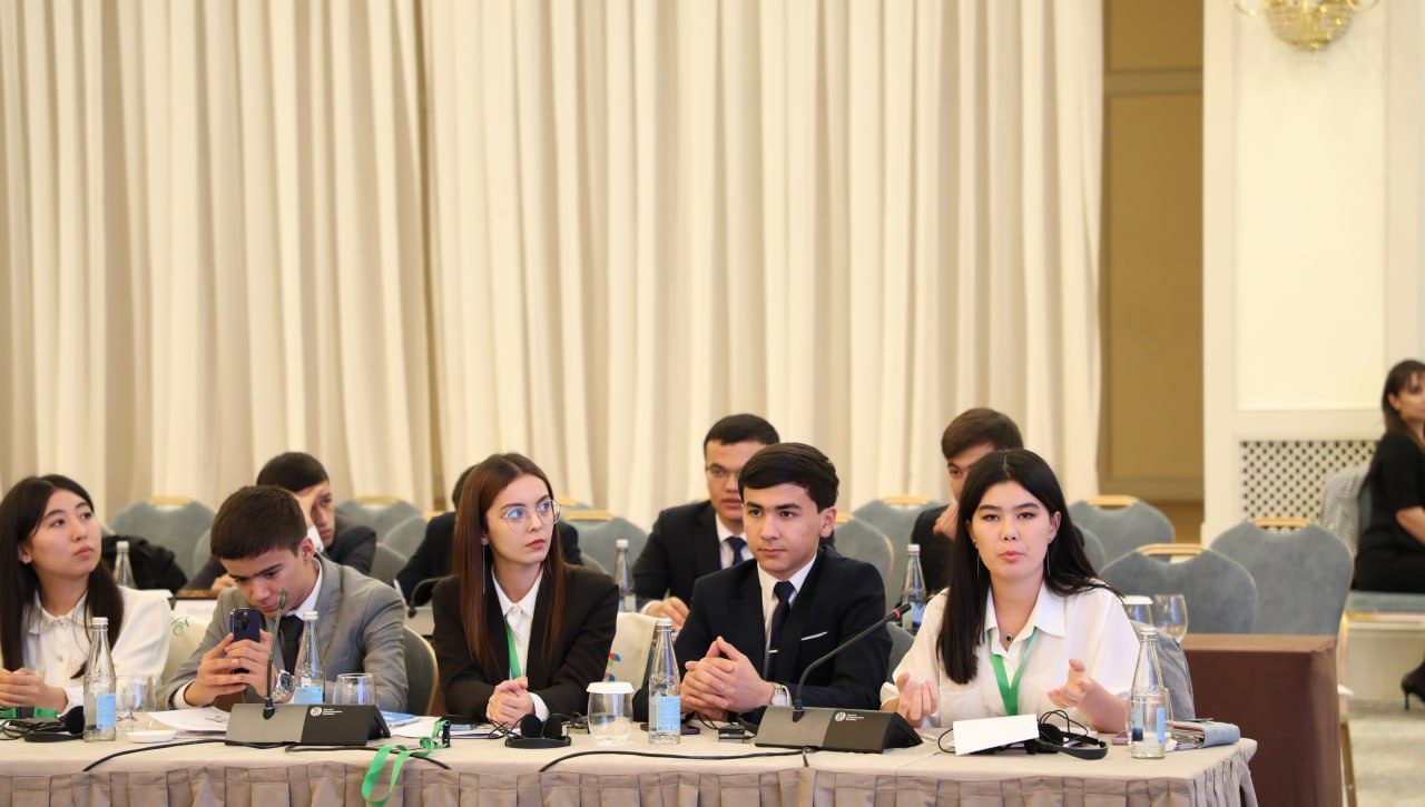 Youth Consultation: Prospects for Advancing Youth Rights Internationally