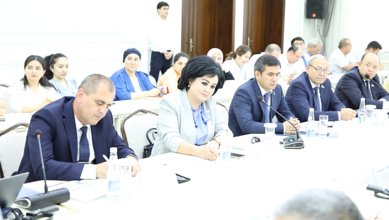 The Role of Parliament in UN Human Rights Mechanisms