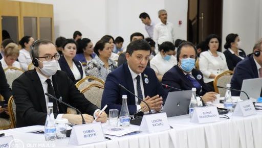 Участие институтов гражданского общества и общественности в реализации ЦУР