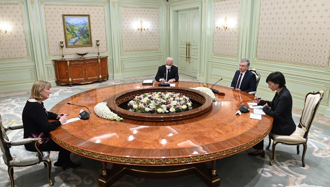 President of Uzbekistan receives the UN Special Rapporteur