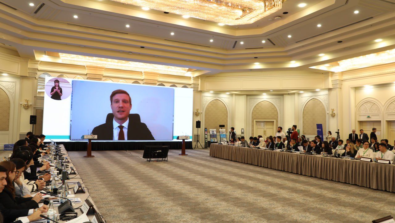 Youth and global challenges: promoting stability and peace
