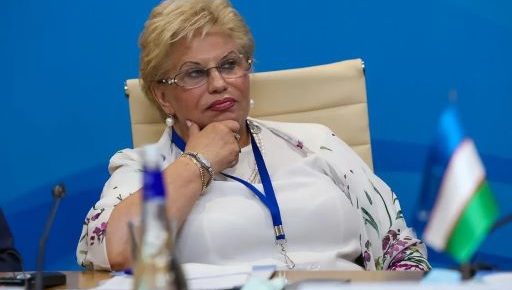 Татьяна Москалькова поделилась с омбудсменами из ЕАО опытом защиты прав инвалидов