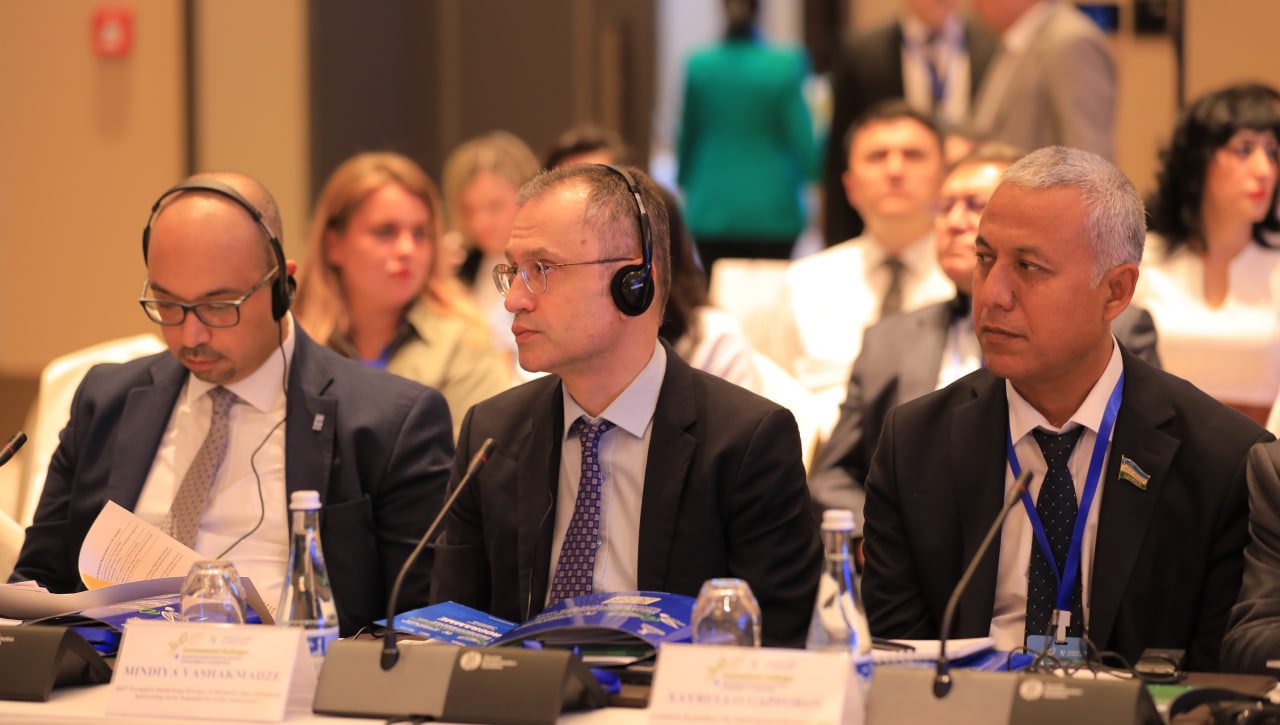 Environmental Issues and the Future of Human Rights: The Role of Business and Civil Society