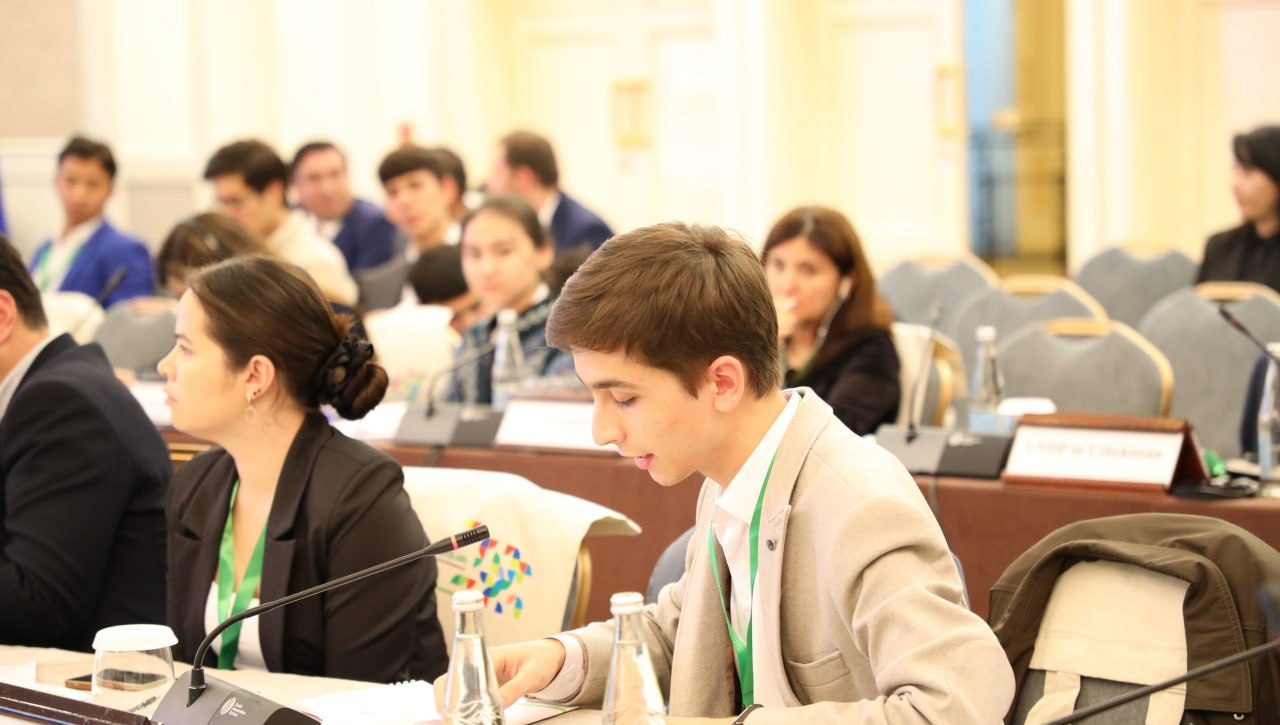 Youth Consultation: Prospects for Advancing Youth Rights Internationally