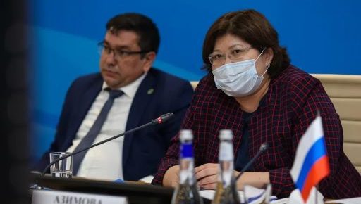 Татьяна Москалькова поделилась с омбудсменами из ЕАО опытом защиты прав инвалидов