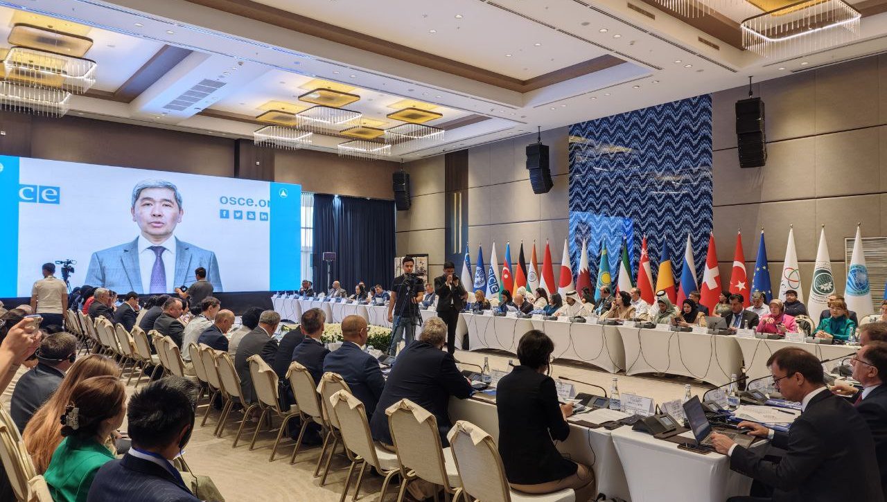 Addressing environmental issues and protecting human rights: the leadership of international organizations and national human rights institutions