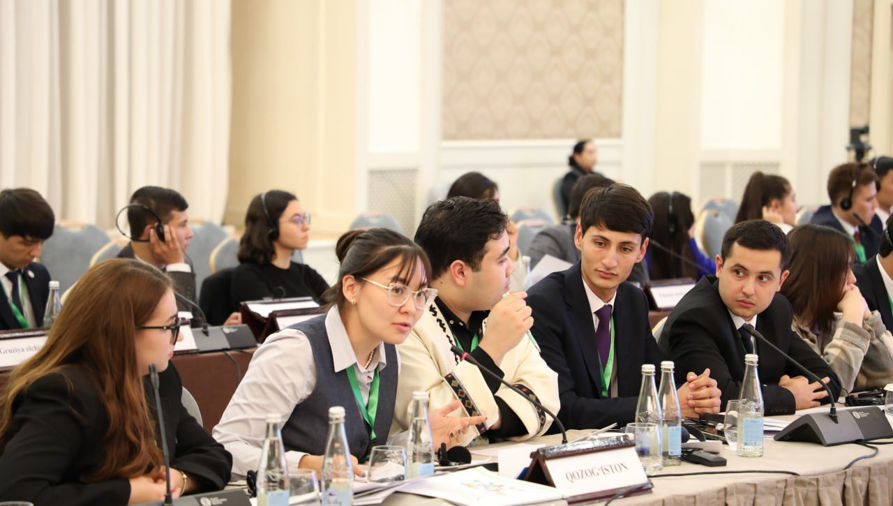 Youth Consultation: Prospects for Advancing Youth Rights Internationally