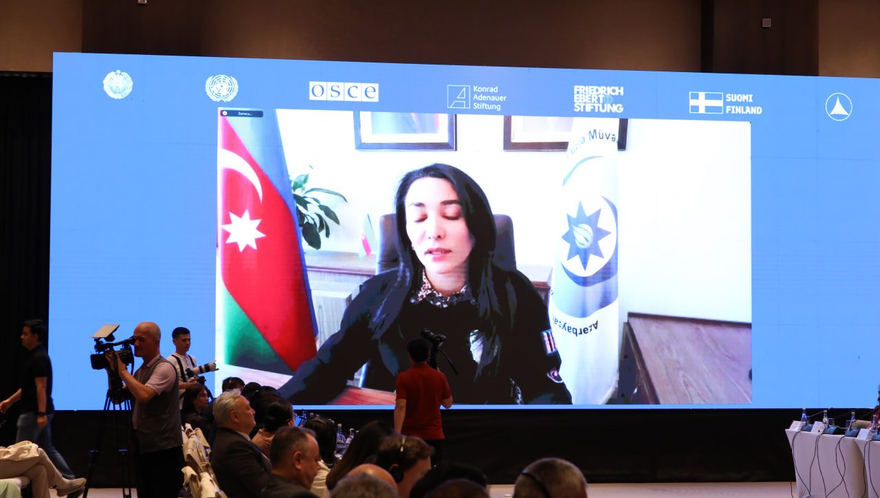 Addressing environmental issues and protecting human rights: the leadership of international organizations and national human rights institutions