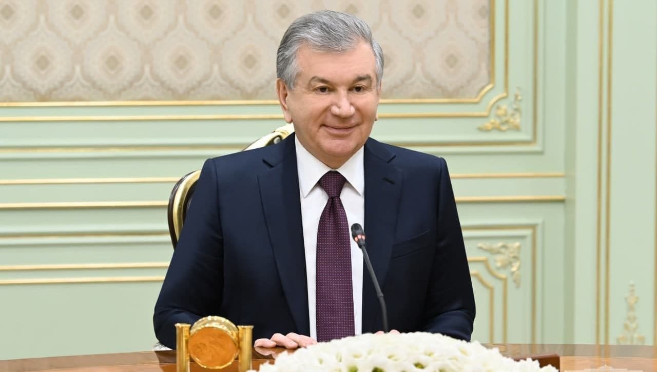 President of Uzbekistan receives the UN Special Rapporteur