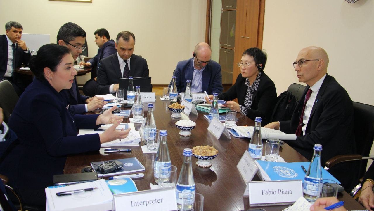 The Ombudsman met with the UN High Commissioner for Human Rights