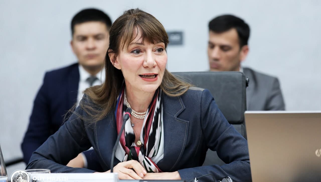 Демократия и права человека как факторы устойчивого развития