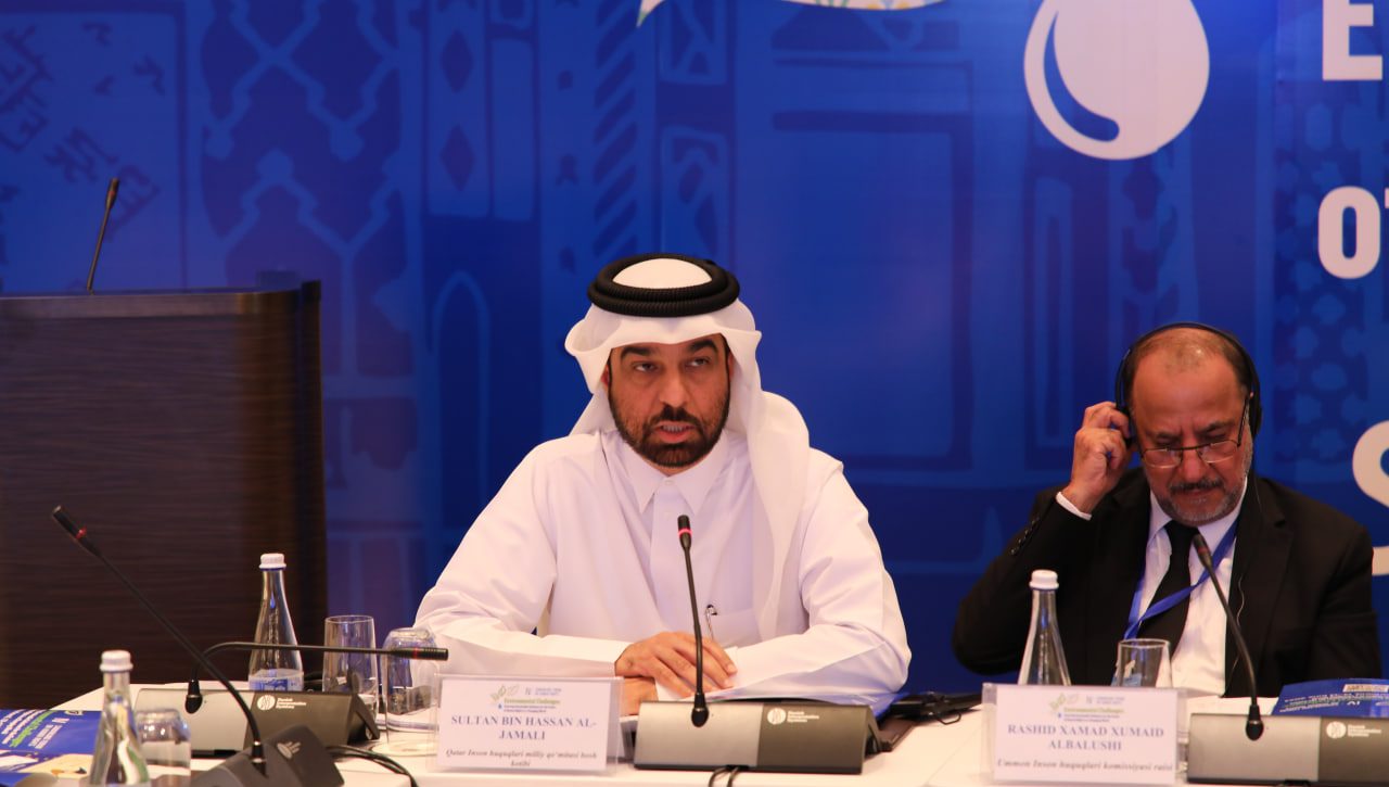 Addressing environmental issues and protecting human rights: the leadership of international organizations and national human rights institutions
