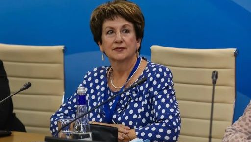 Татьяна Москалькова поделилась с омбудсменами из ЕАО опытом защиты прав инвалидов