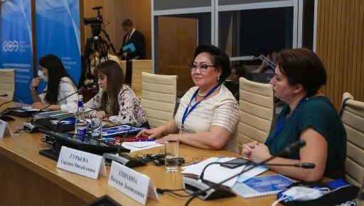 Татьяна Москалькова поделилась с омбудсменами из ЕАО опытом защиты прав инвалидов
