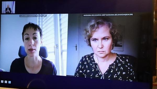 Парламентарии региона обсудили подходы к восстановлению после пандемии