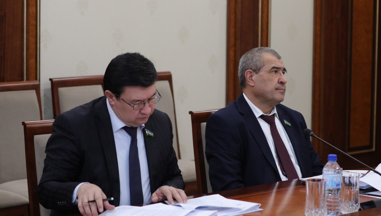 Состоялось заседание Комитета в преддверии очередного пленарного заседания