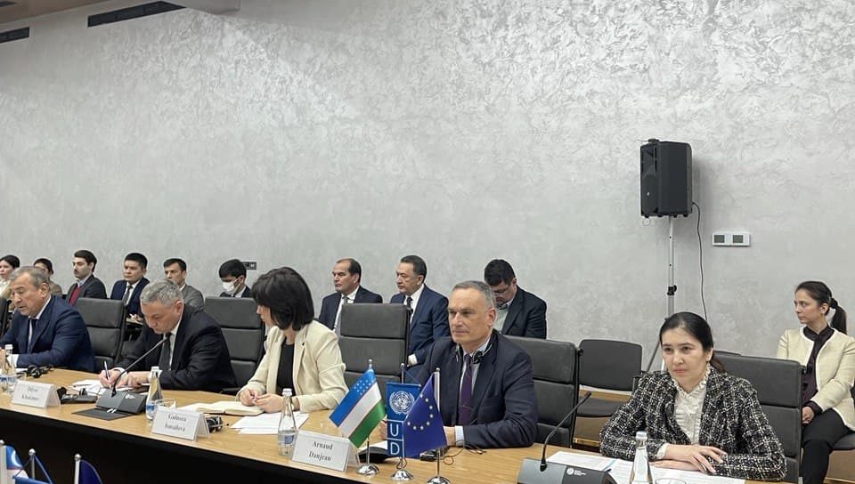 Демократия и права человека как факторы устойчивого развития