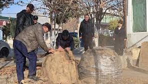 Экологик чоралар давомида тадбиркорлар мулкий ҳуқуқларини таъминлаш зарурлиги эслатилди