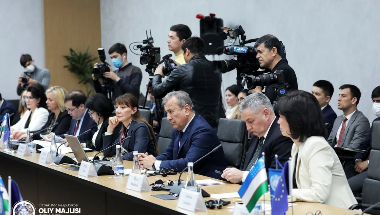 Демократия и права человека как факторы устойчивого развития