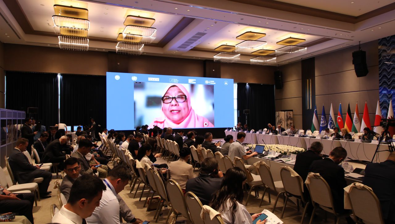 Addressing environmental issues and protecting human rights: the leadership of international organizations and national human rights institutions