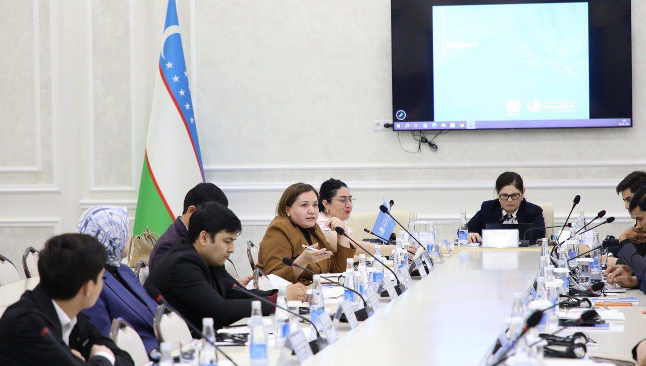 UN Human Rights carried out workshops on a human rights-based approach to budgeting for economic, social and cultural rights and the right to a healthy environment