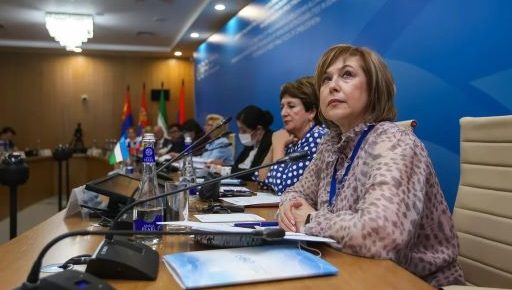 Татьяна Москалькова поделилась с омбудсменами из ЕАО опытом защиты прав инвалидов