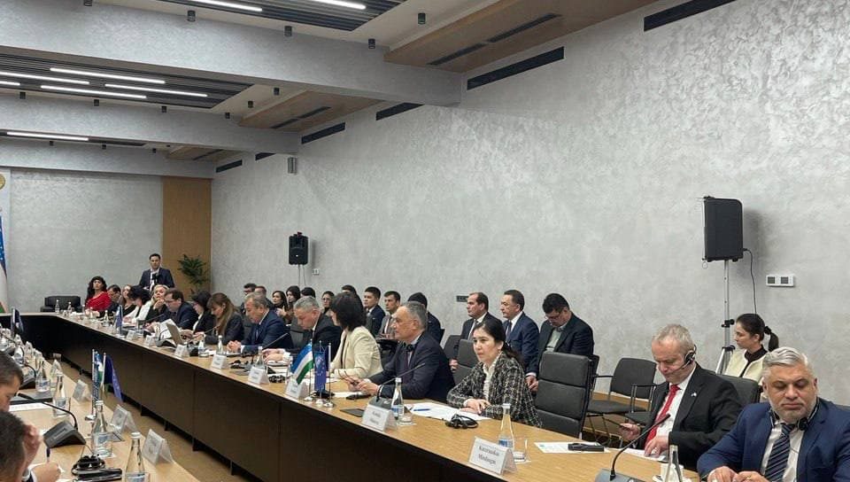 Демократия и права человека как факторы устойчивого развития