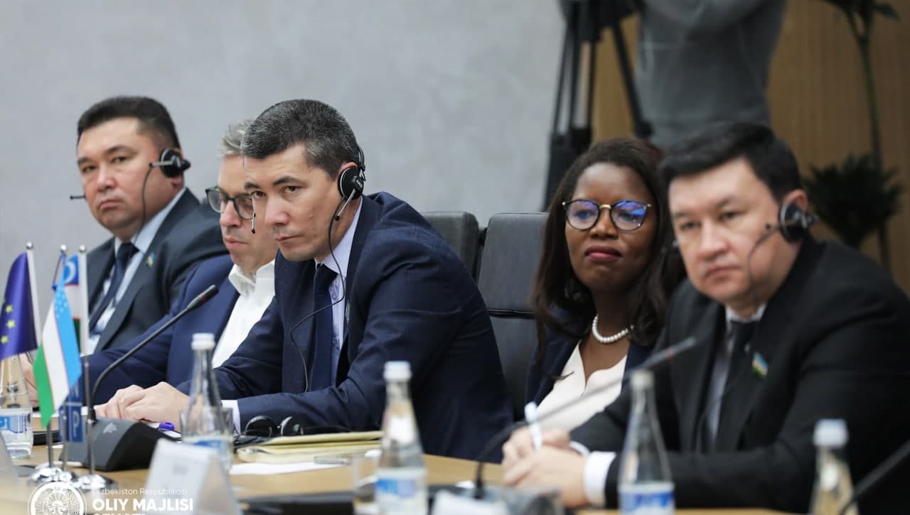 Демократия и права человека как факторы устойчивого развития