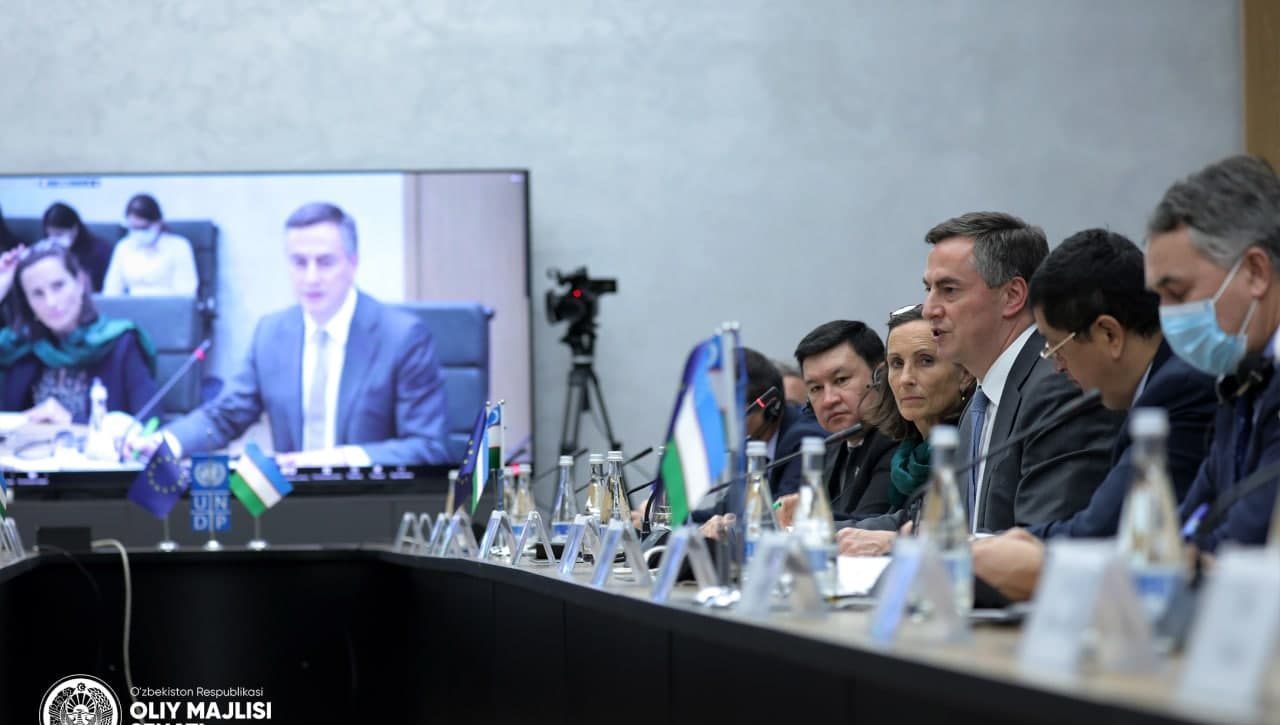 Демократия и права человека как факторы устойчивого развития