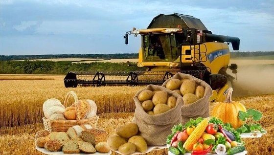 Янги Ўзбекистон – хорижликлар нигоҳида