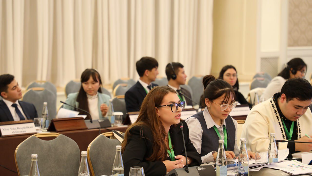Youth Consultation: Prospects for Advancing Youth Rights Internationally