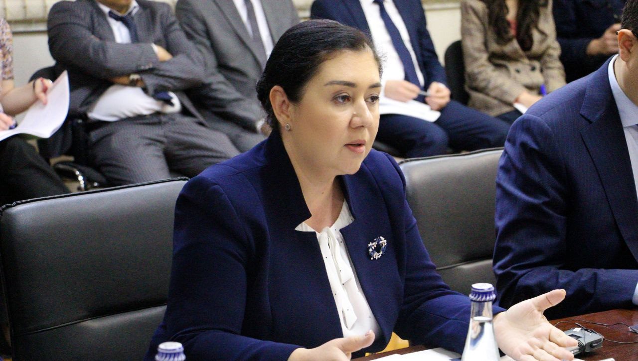 The Ombudsman met with the UN High Commissioner for Human Rights