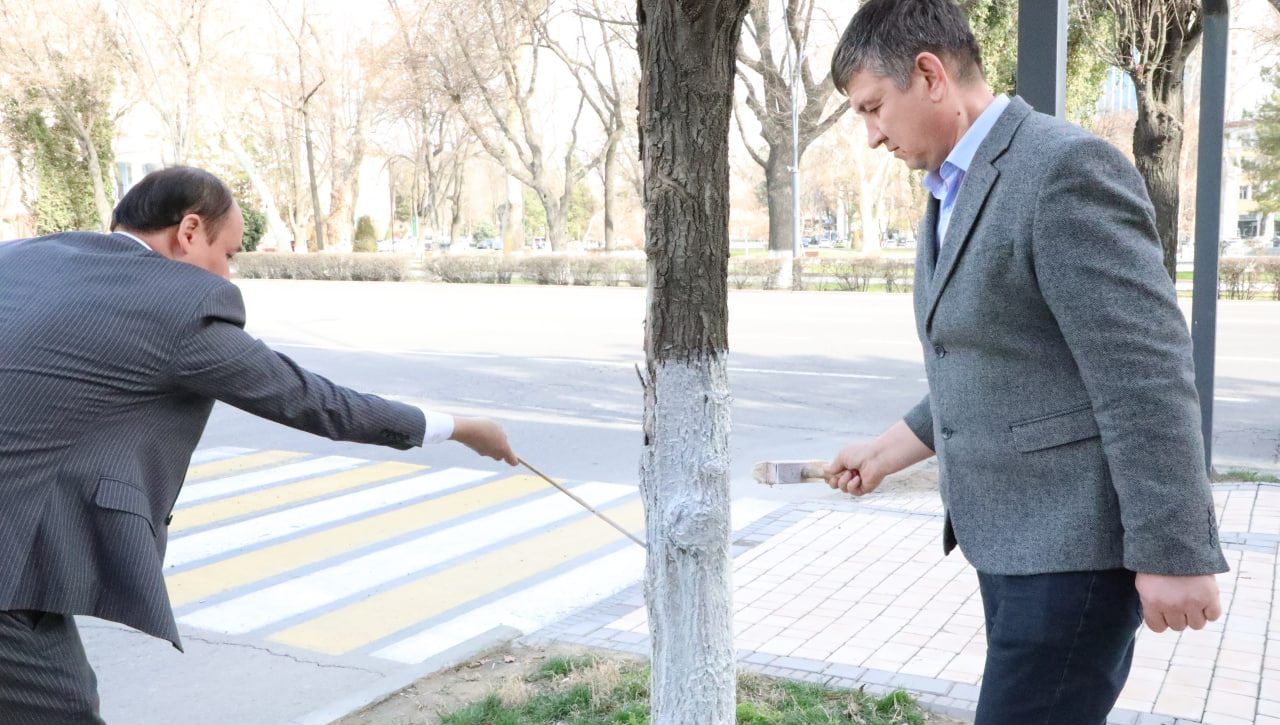 Ҳашар – атроф муҳит ва инсон ҳуқуқлари ҳимоясига эътибор тимсоли