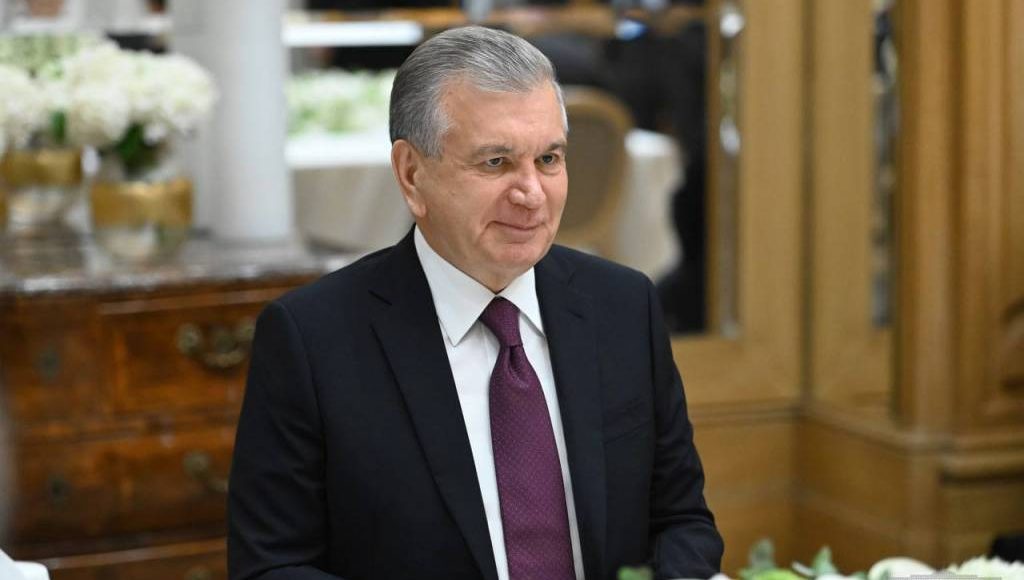 The President of Uzbekistan and the French Development Agency CEO discuss the possibilities of enhancing multifaceted partnership