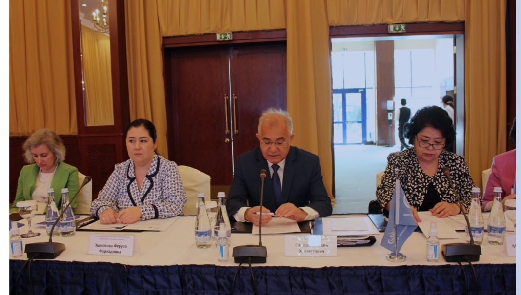 NCHR presents Uzbekistan’s experience in the repatriation of its citizens