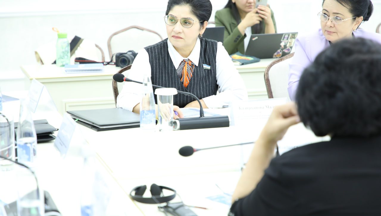 The Role of Parliament in UN Human Rights Mechanisms