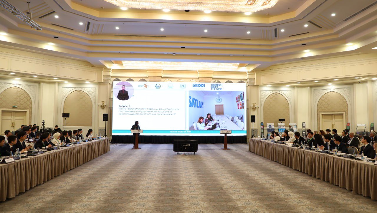 Youth Consultation: Prospects for Advancing Youth Rights Internationally