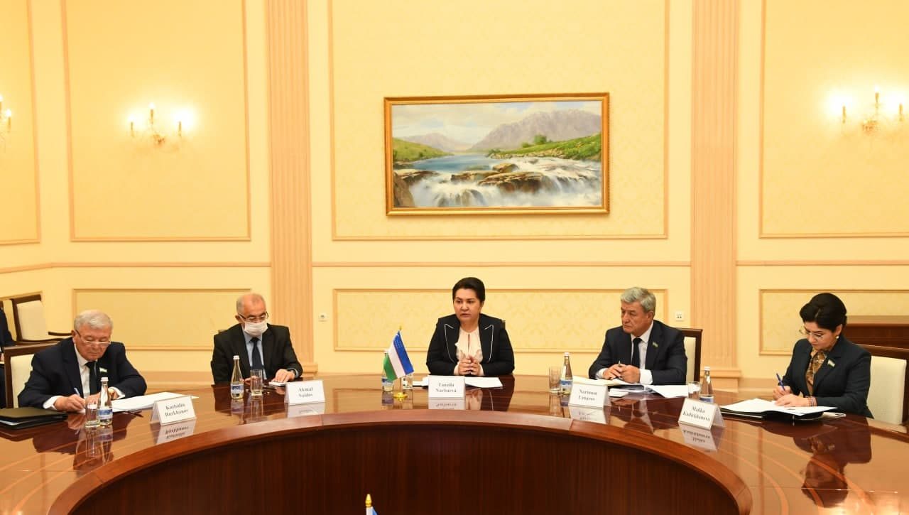 Состоялась встреча Председателя Сената Олий Мажлиса со Специальным докладчиком ООН