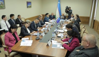 Хавфсиз, тартибли ва қонунний миграция борасидаги ишлар халқаро ташкилотлар эътирофида