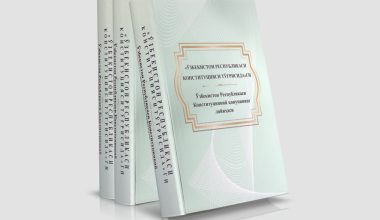 Draft Constitutional Law printed in Braille