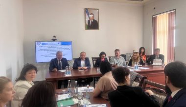 БМТ тизимида инсон ҳуқуқларини ҳимоя қилишнинг халқаро механизмлари 