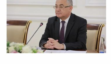 Конституция Узбекистана и ЦУР в фокусе внимания СМИ Китая