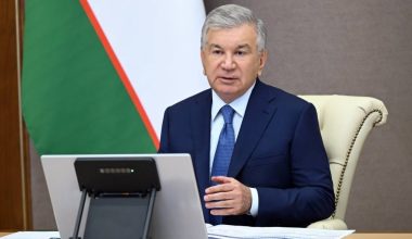 Tree care and survival rates to become priorities under the “Yashil Makon” project