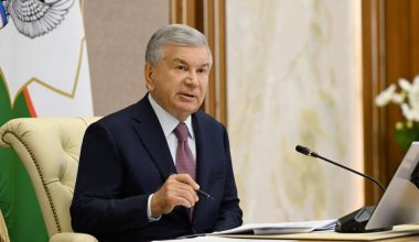 Plans for the medium- and long-term development of the fuel and energy sector reviewed