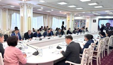 Human Rights Protection in the Context of Constitutional Reform Discussed in Astana