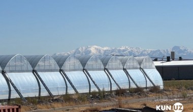 O‘zbekistonda 2030 yilgacha havoga isciqxona gazlari chiqarilishini 35 foizga kamaytirish rejalashtirilmoqda