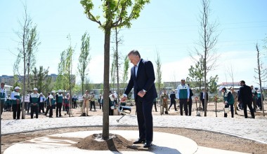 Началось создание Национального дендрологического парка