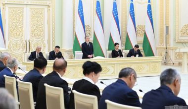 Новые горизонты. Как идет конституционная реформа в Узбекистане